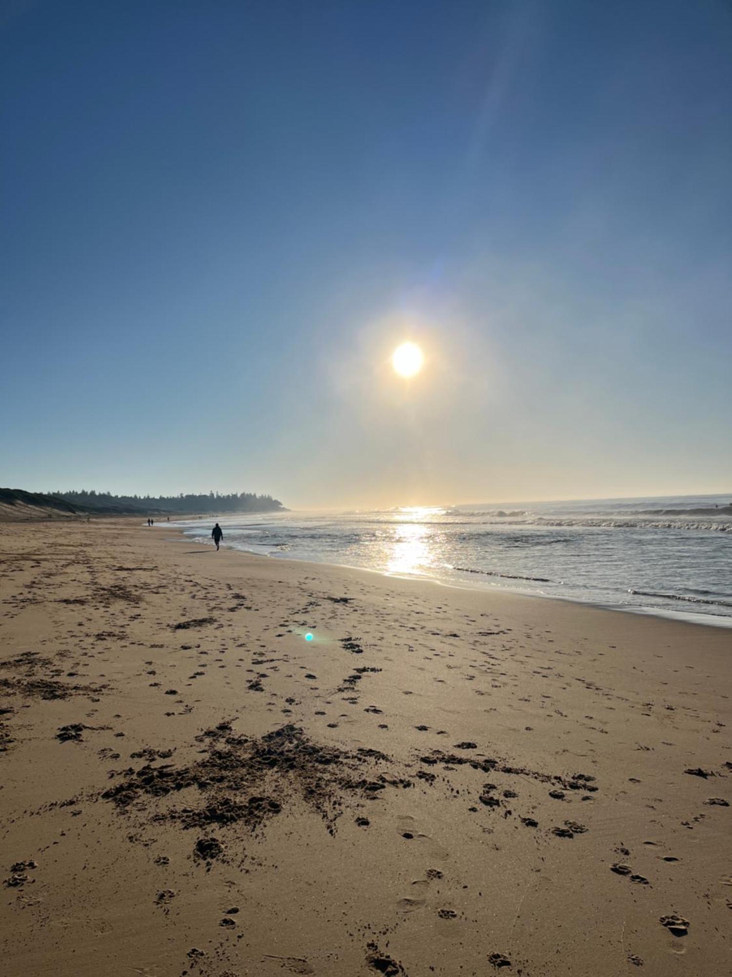 Blue Lagoon Beach Resort Bateau Bay Luaran gambar