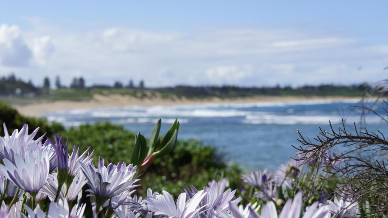 Blue Lagoon Beach Resort Bateau Bay Luaran gambar